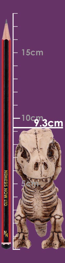 Three Wise Tyrannosaurus Rex Skeletons 9.3cm Three Wise Tyrannosaurus Rex Skeletons 9.3cm