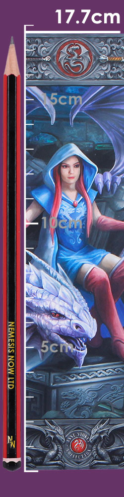 Dragon Mage Journal (AS) 17cm Dragon Mage Journal (AS) 17cm