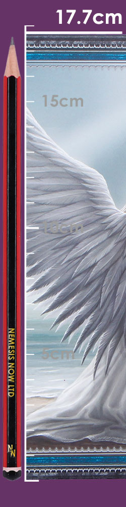 Spirit Guide Journal (AS) 17cm Spirit Guide Journal (AS) 17cm