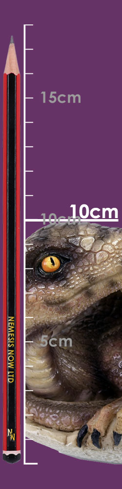 Raptors Dawn 10cm