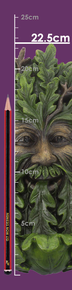Elderwood 23.8cm