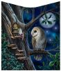 Fairy Tales Throw (LP) 160cm Fairies Roll Back Offer