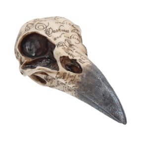 Edgar's Raven Skull 21cm Animal Skulls Back in Stock