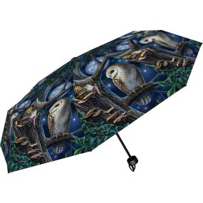 Fairy Tales Umbrella (LP) Fairies Gifts Under £100