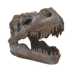 Tyrannosaurus Rex Skull Freestanding 16cm Dinosaurs Back in Stock