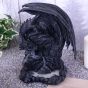 Dragon Pool Backflow Incense Burner 19cm Dragons Year Of The Dragon