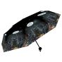 Familiars Umbrella (LP) Cats Last Chance to Buy