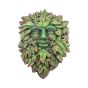 Beltane's Bourgeon 29cm Tree Spirits Tree Spirits