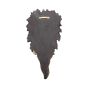 All Seeing Oak 29cm Tree Spirits Tree Spirits