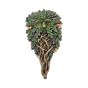 All Seeing Oak 29cm Tree Spirits Gifts Under £100