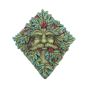 Berry Beard 24cm Tree Spirits Gifts Under £100