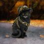 Clockwork Kitty 16.5cm Cats Statues Medium (15cm to 30cm)