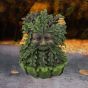 Elderwood 23.8cm Tree Spirits Gifts Under £100