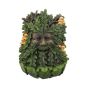 Elderwood 23.8cm Tree Spirits Gifts Under £100
