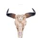 Mythical Markings 44.5cm Animal Skulls Gifts Under £100