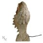 Wings of Peace 39.5cm Angels Angels