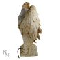 Wings of Peace 39.5cm Angels Angels