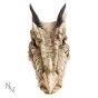 Draco Skull Incense Holder 24cm Skulls Gifts Under £100