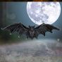 Bat Key Hanger (26cm) Bats Gothic Product Guide