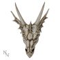 The Last Dragon Skull 32cm Skulls Statues Large (30cm to 50cm)