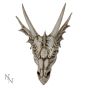 The Last Dragon Skull 32cm Skulls Gifts Under £100