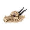 Dragon Skull Box 20cm Skulls Back in Stock