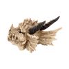 Dragon Skull Box 20cm Skulls Gifts Under £100