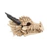 Dragon Skull Box 20cm Skulls Gifts Under £100