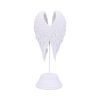 Angel Wings 26cm Angels Gifts Under £100