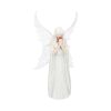 Only Love Remains (AS) 26cm Fairies Gifts Under £100