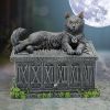 Fortune's Watcher Tarot Box 17cm Cats Gifts Under £100