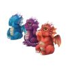 Three Wise Dragonlings 8.5cm Dragons Back in Stock