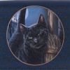 A Brush With Magick Embossed Purse (LP) 18.5cm Cats Stock Arrivals