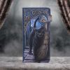 A Brush With Magick Embossed Purse (LP) 18.5cm Cats Stock Arrivals