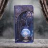 The Witches Apprentice Embossed Purse (LP) 18.5cm Cats Stock Arrivals