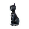 Mystic Kitty 26cm Cats Gifts Under £100