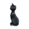 Mystic Kitty 26cm Cats Gifts Under £100