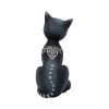 Mystic Kitty 26cm Cats Gifts Under £100