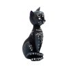 Mystic Kitty 26cm Cats Gifts Under £100