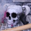 Little Monster 20.6cm Skulls Drop Dead Gorgeous