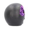 Geode Skull 17cm Skulls RRP Under 20