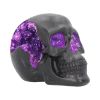 Geode Skull 17cm Skulls RRP Under 20