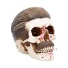 Henchman 18.5cm Skulls April Flash Sale Day 5