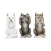 Three Wise Wolves 10cm Wolves Back in Stock