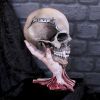 Metallica - Sad But True Skull 22cm Band Licenses Band Merch Product Guide