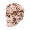 Skull of Skulls (JR) 18cm Skulls Father's Day