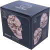 Skull of Skulls (JR) 18cm Skulls Father's Day