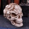 Skull of Skulls (JR) 18cm Skulls Father's Day