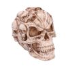 Skull of Skulls (JR) 18cm Skulls Father's Day