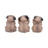 Three Wise Pugs 8.5cm Dogs Gifts Under £100